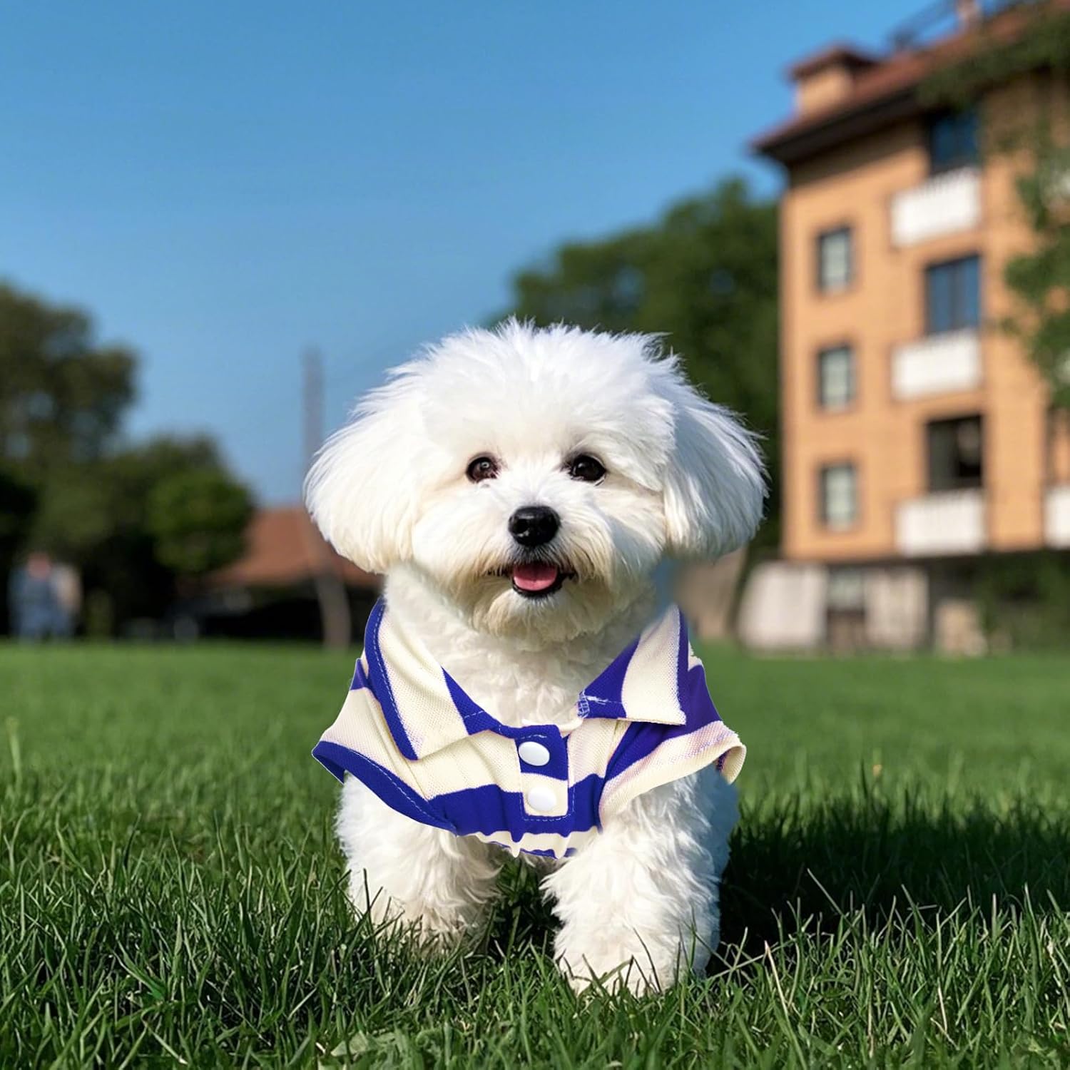 Side profile of pet wearing summer polo shirt