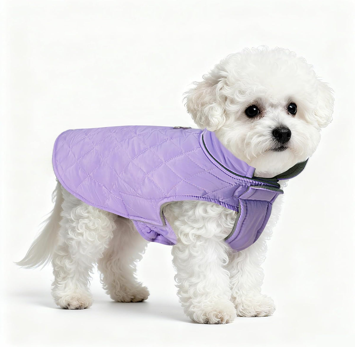 Mile High Life Dog Warm Coat, Small Dog Winter Jacket Windproof Water Resistant Cold Weather Coats Cozy Snow Jacket Vest for Puppies (Blue, Small Chest 14.5") - Image 12