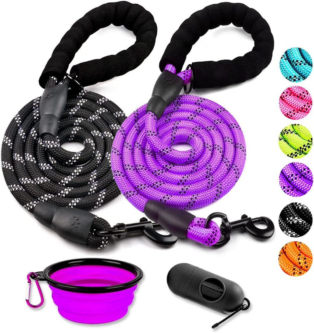 Complete pet outdoor walking kit including two leashes and waste bag dispenser.