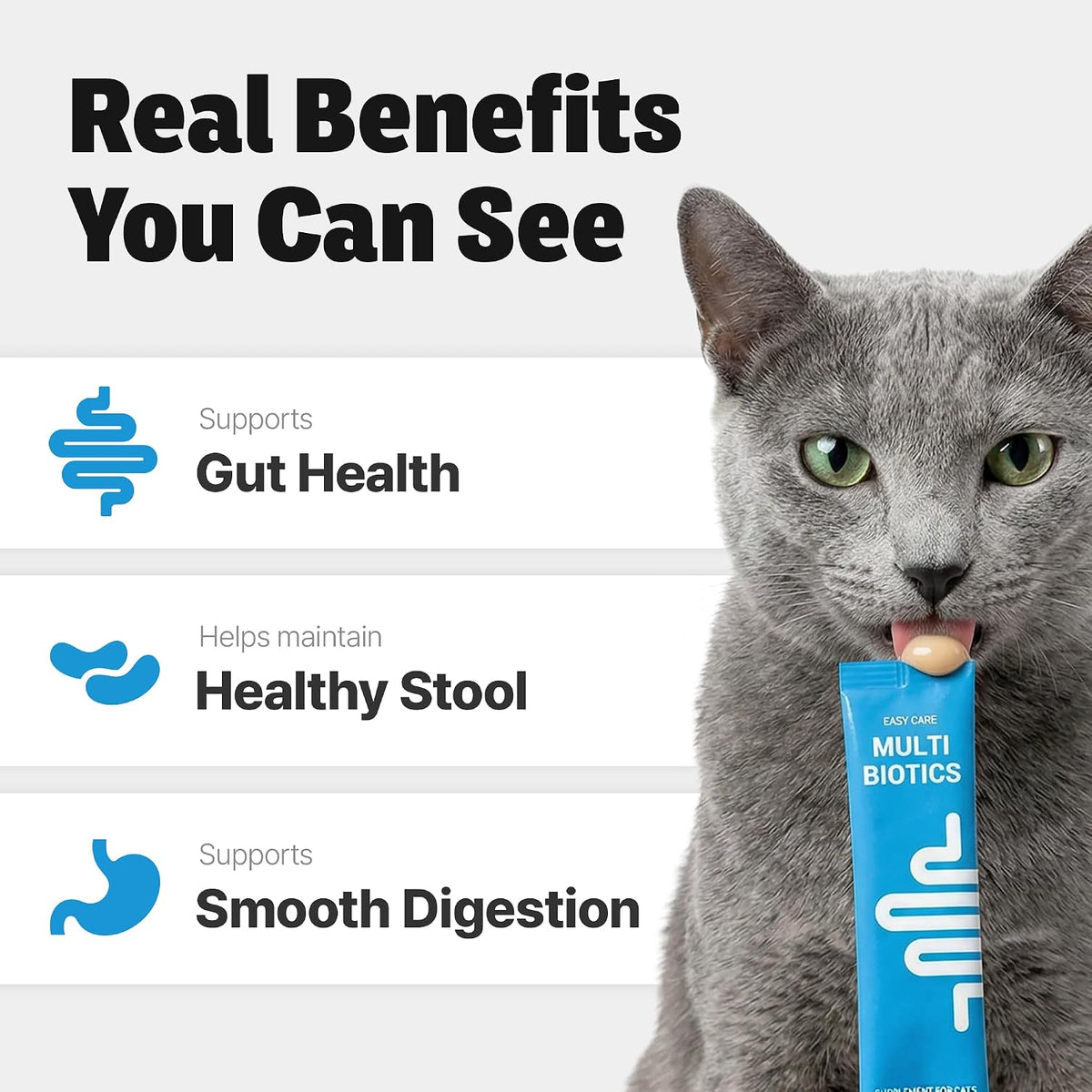 Multi strain probiotics for cats with sensitive stomach issues
