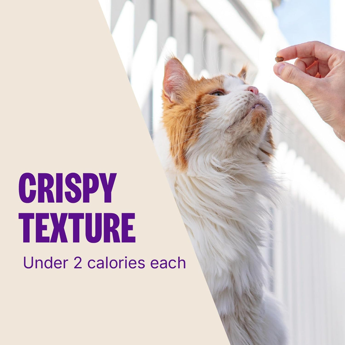 Wellness chicken recipe cat treat bag back label nutrition facts