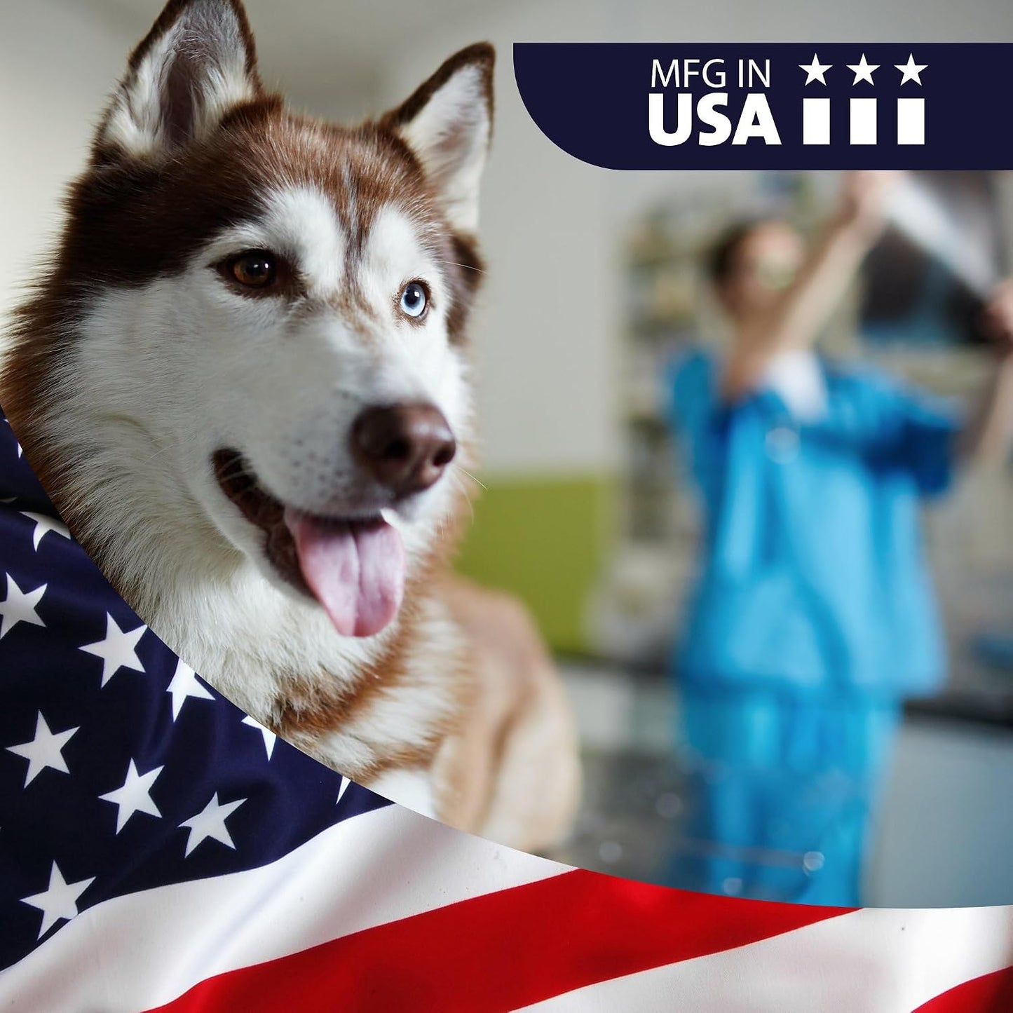 VetWELL infection treatment bottle for cats and dogs
