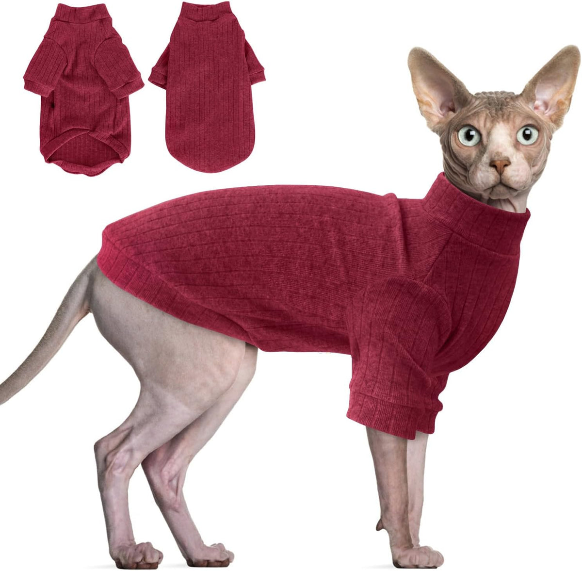 Comfortable medium thick cat apparel for all season wear