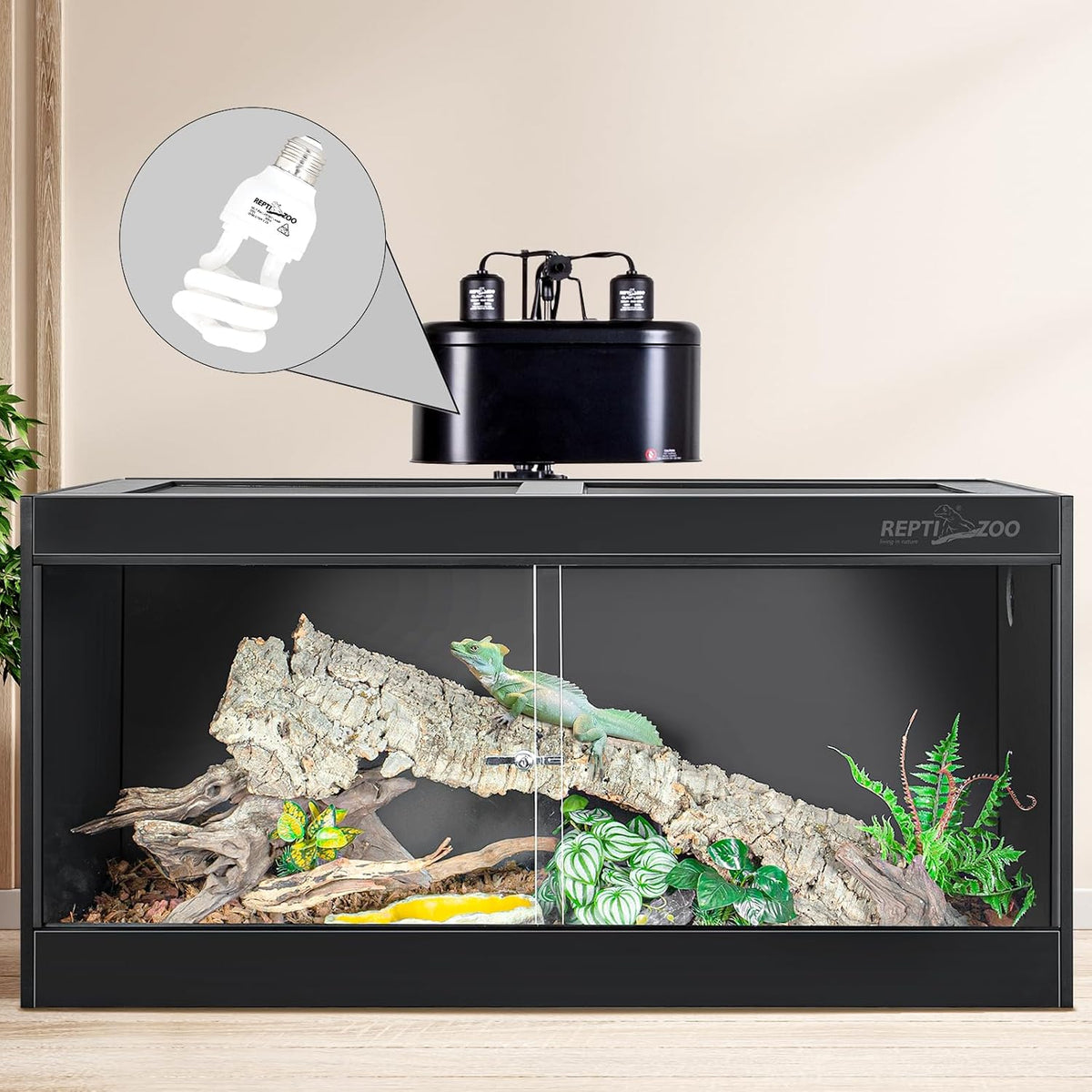Reptile habitat lighting demonstration maintaining safe distance from terrarium mesh.