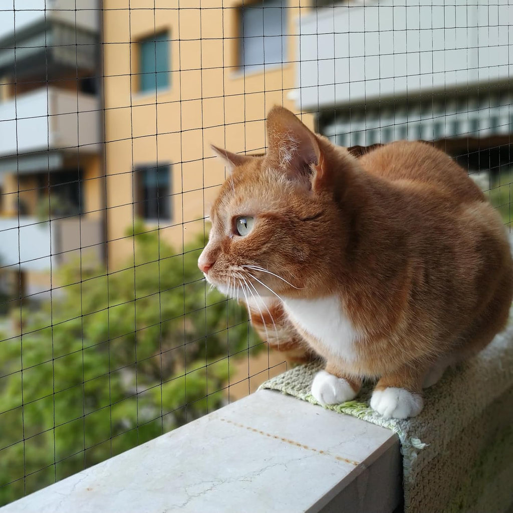 Cat sitting safely behind YeeBeny balcony safety netting