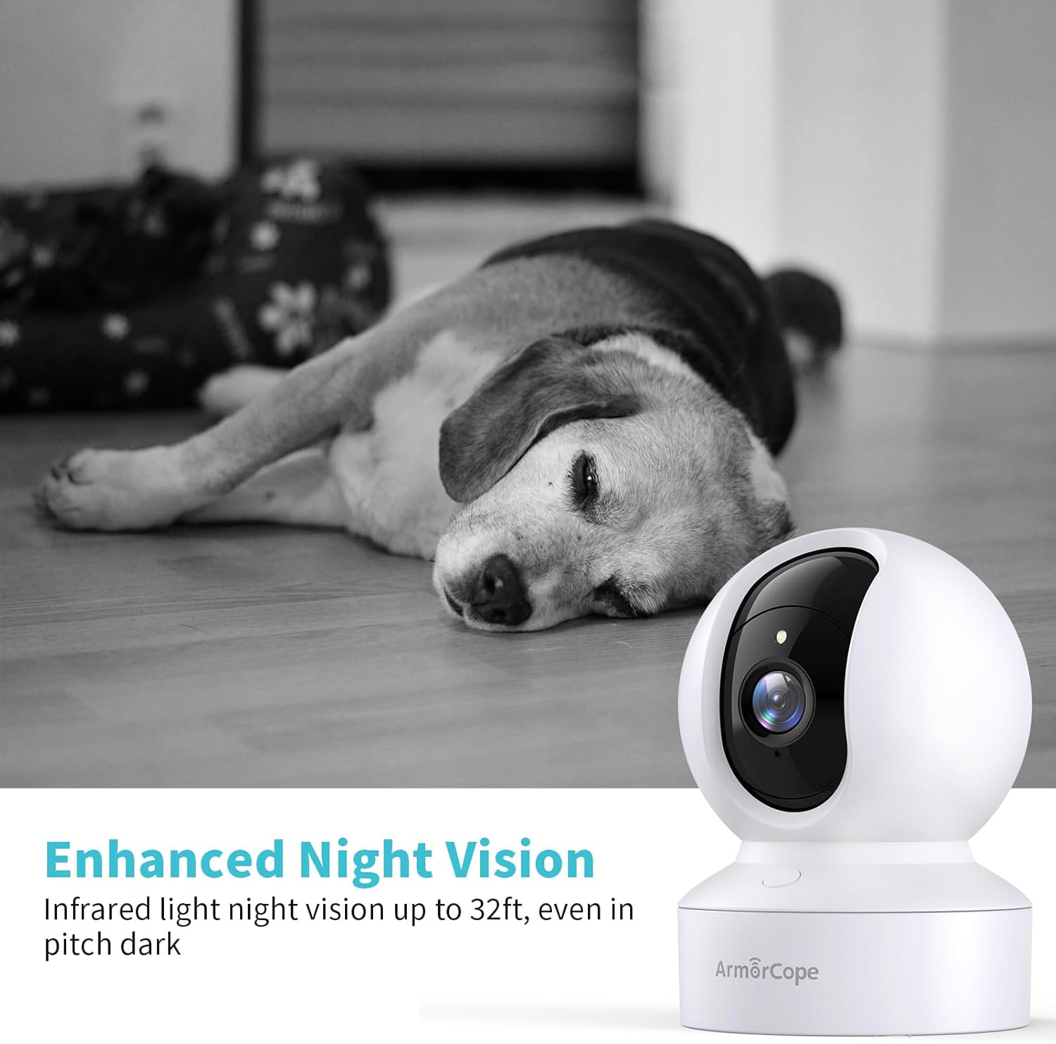 Smart pet camera motion tracking alarm notification on smartphone screen