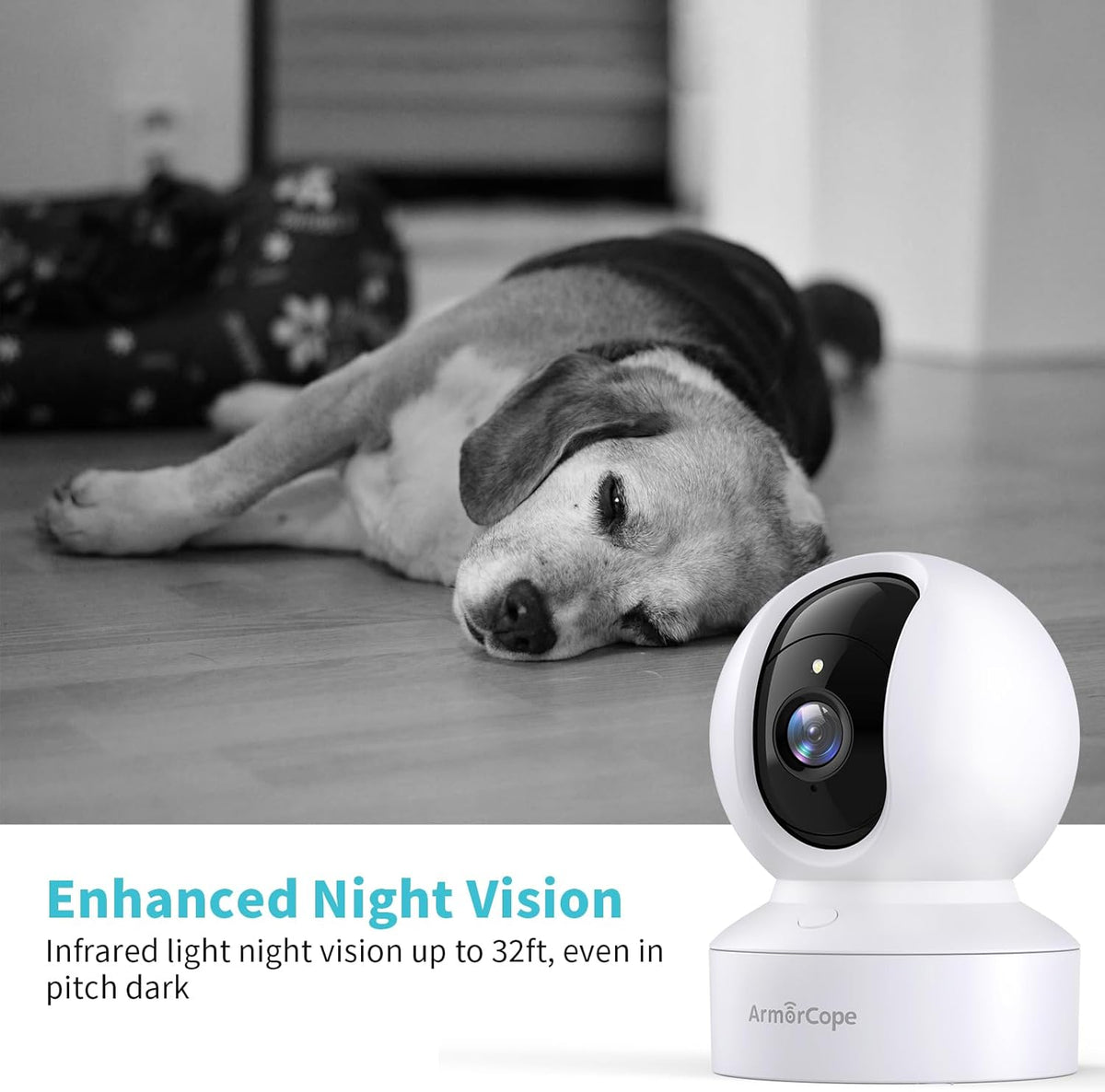 Smart pet camera motion tracking alarm notification on smartphone screen