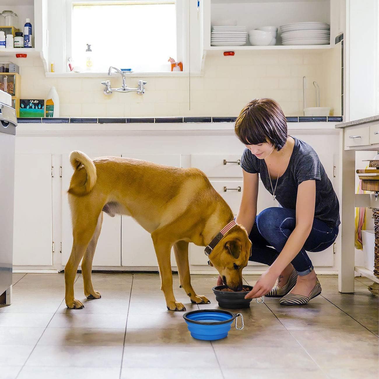 Kytely premium TPE collapsible dog bowls showing both the blue and black color variants together