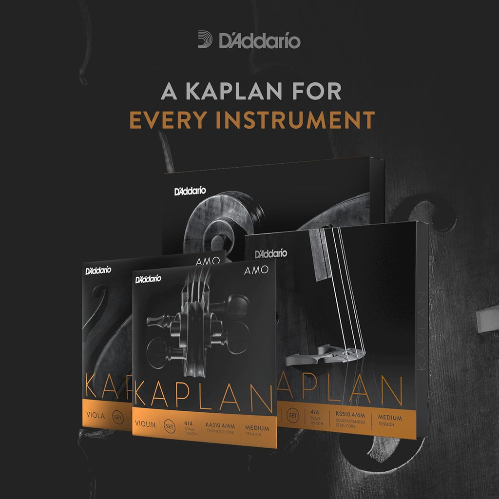 D'Addario K610 3/4L upright bass strings showing the silver ball ends and premium steel construction details.
