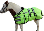 Challenger horsewear miniature turnout rug featuring the rust resistant stainless steel hardware and tail cord loop