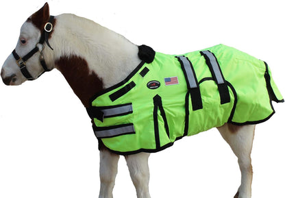 Challenger horsewear miniature turnout rug featuring the rust resistant stainless steel hardware and tail cord loop