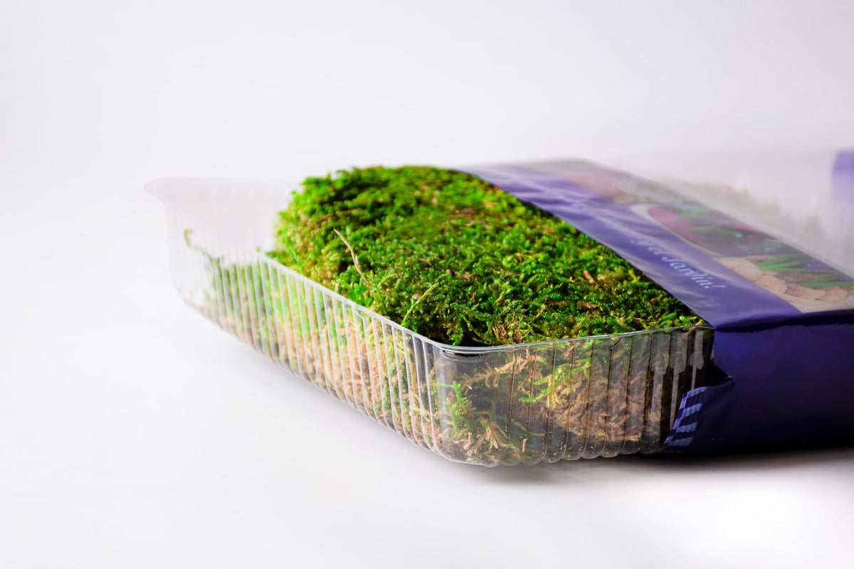 SuperMoss sheet moss used as soil cover for potted houseplants