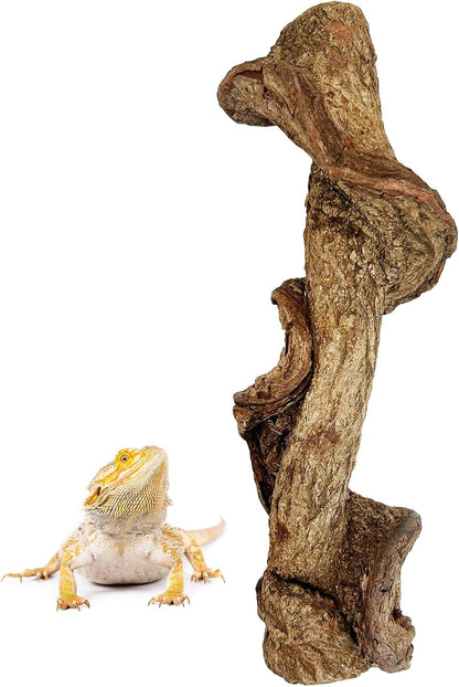 Apatal natural wood branch decor for gecko and chameleon habitat