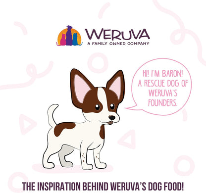 Weruva premium protein healthy hydration dog food cups group layout