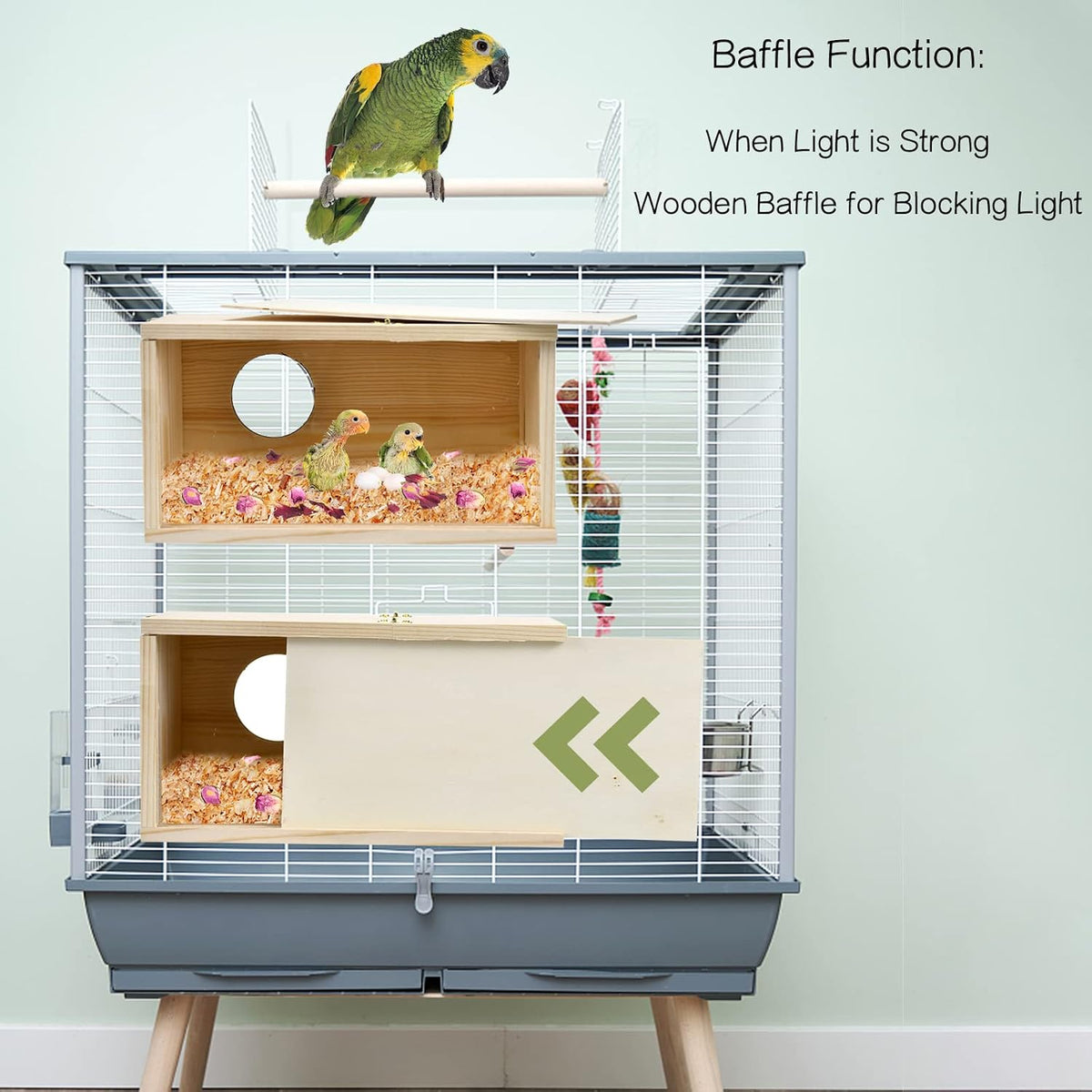 Parakeet Nesting Box Cockatiel Nesting Natural Pine Bird Nest Bird Breeding Box House Acrylic Transparent Bird Box with Detachable Wooden Board for Lovebirds Cockatiel Budgie Conure Parrot L - Image 2
