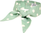Lil' Archie's authentic USA imported dog bowtie packaging and care label details.