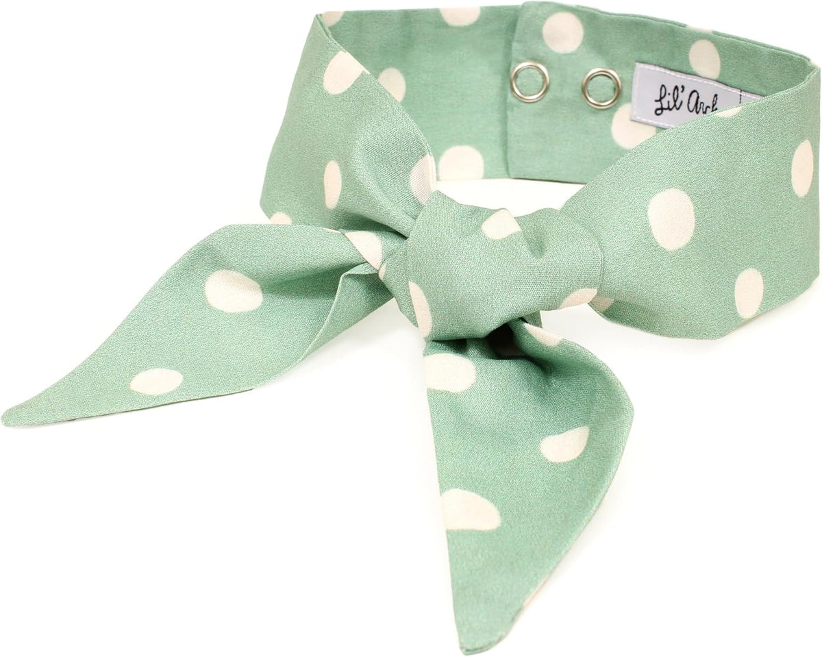 Lil' Archie's authentic USA imported dog bowtie packaging and care label details.