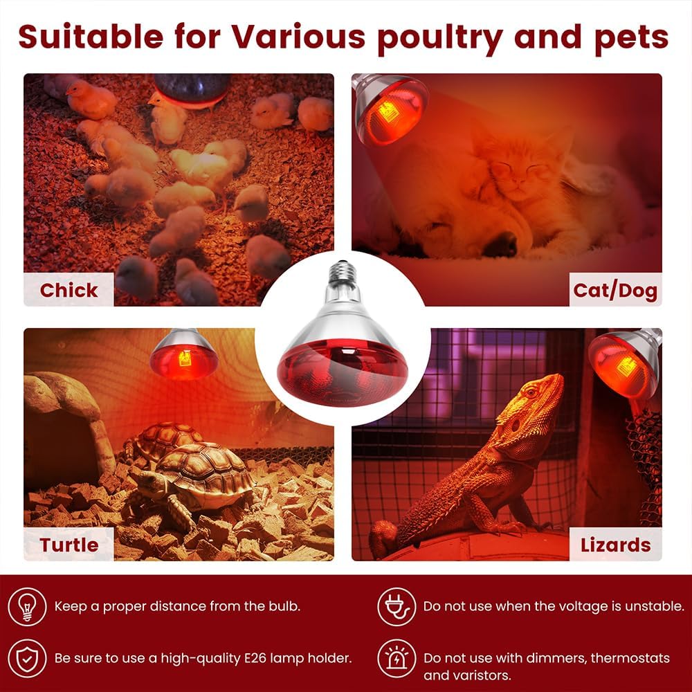 Packaging view of the authentic DaToo one pack infrared pet heating lamp.