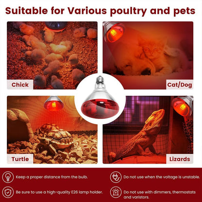 Packaging view of the authentic DaToo one pack infrared pet heating lamp.
