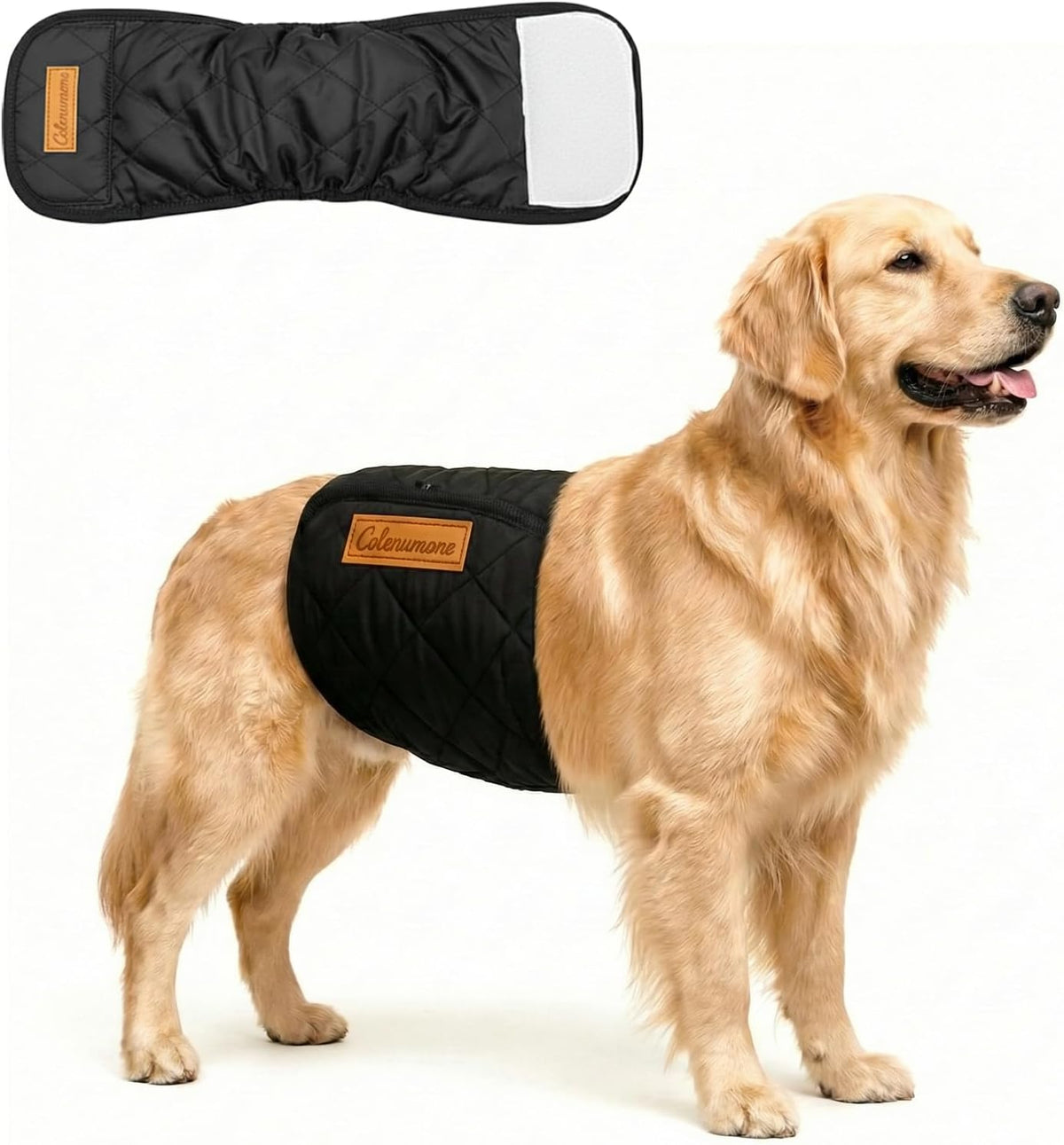 Waterproof outer layer demonstration of Colenumone male dog wraps