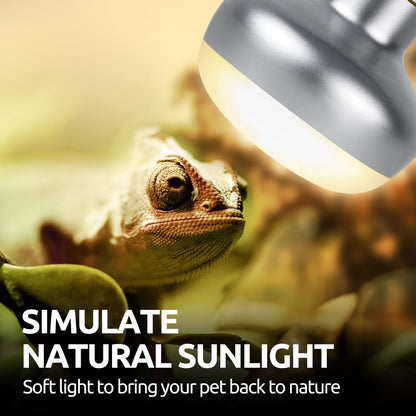 Side angle view of both reptile habitat lamps side by side for comparison.