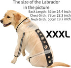 Olsa waterproof snow and rain clothes for medium dogs close up on the premium material.