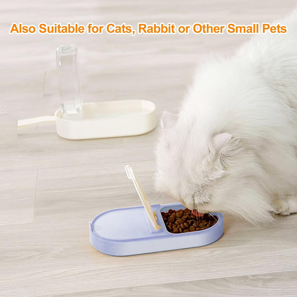 Leak proof dog travel bottle filled with water and treats close up