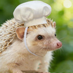 Small pet holiday photo prop chef cap on hamster