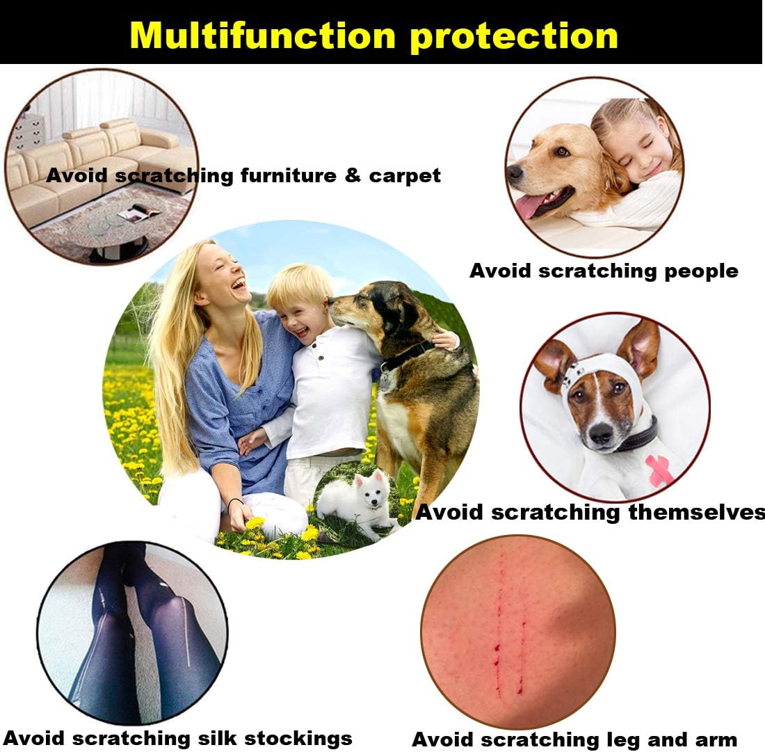 Packaging of Victhy pet nail protection kit for domestic use