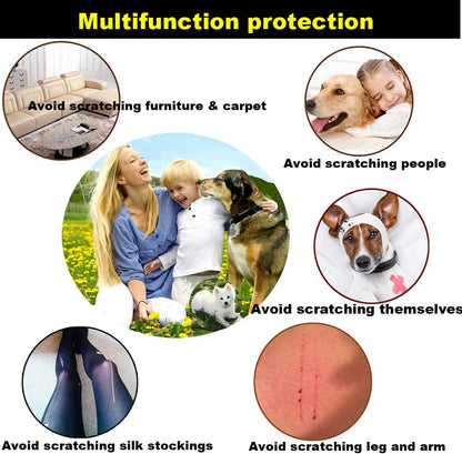 Packaging of Victhy pet nail protection kit for domestic use