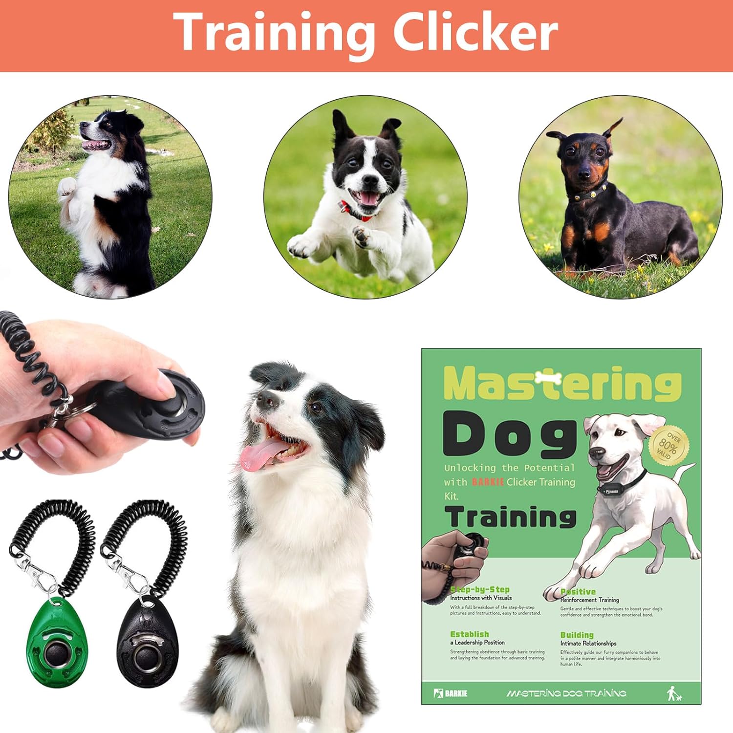 Adjustable ultrasonic silent whistle with lanyard for professional dog behavior correction.