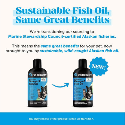 Pet Honesty Omega 3 liquid food topper being added to dry dog kibble for joint support