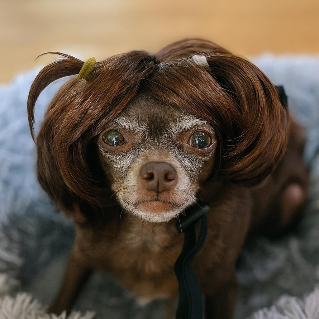 Dog Wig Pet Costumes, Cat Costume Synthetic Accessories Small Dog Headwear for Halloween Christmas Eve Festival Party Decor, Head Wear Apparel Toy (A) - Image 9