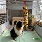 Ninety gram vegetable treat sticks for rabbits and rodents