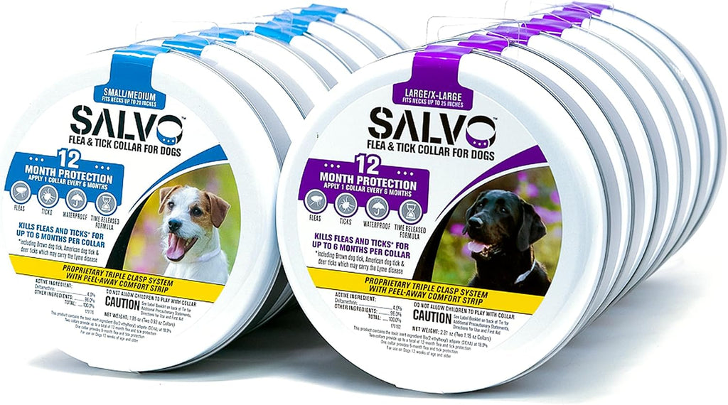 Salvo 12 month protection flea collar pack