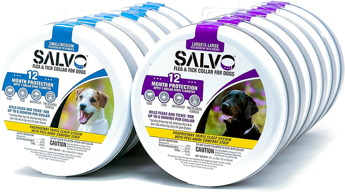 Salvo 12 month protection flea collar pack
