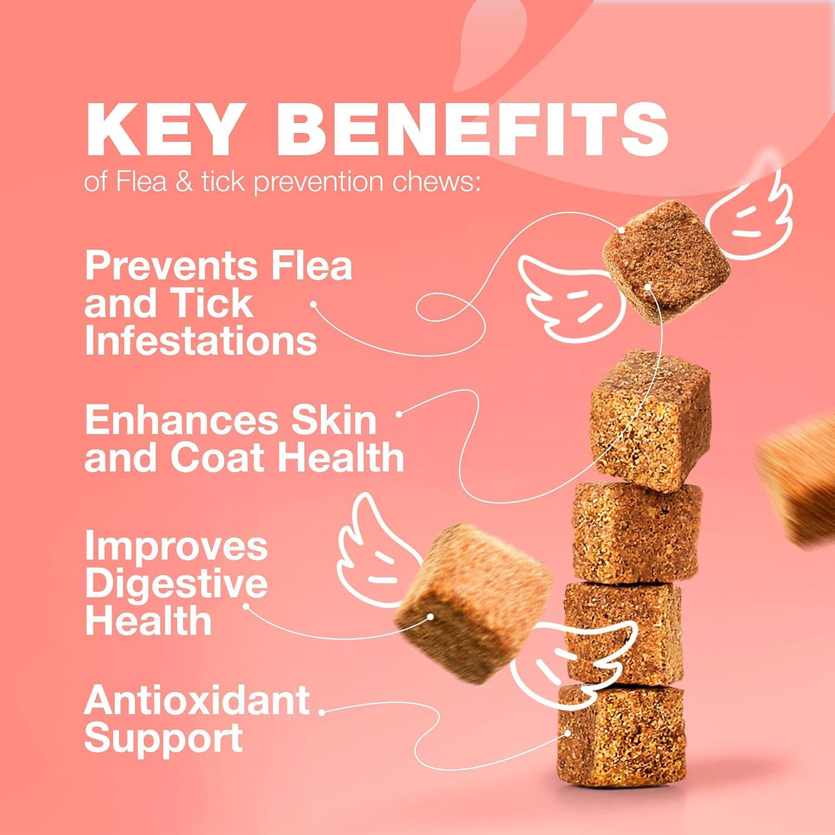 Lovepetsstore daily cat flea and tick defense treats chicken flavor packaging
