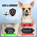 Small dog wearing Yjwfhpu humane vibration bark collar