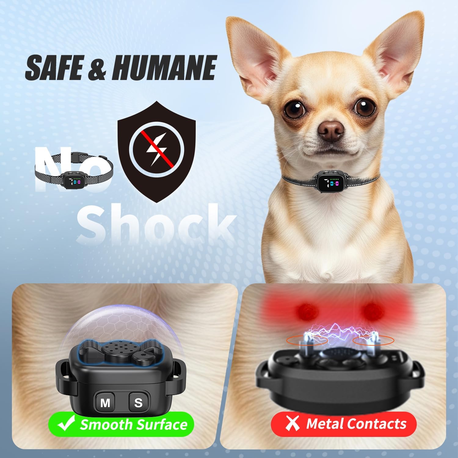 Small dog wearing Yjwfhpu humane vibration bark collar