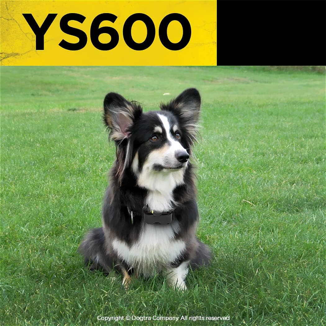 Dogtra YS600 rechargeable bark collar with included accessories