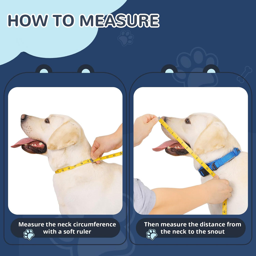 ICOYEA clear view dog cone alternative on a medium sized dog
