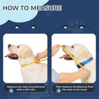 ICOYEA clear view dog cone alternative on a medium sized dog