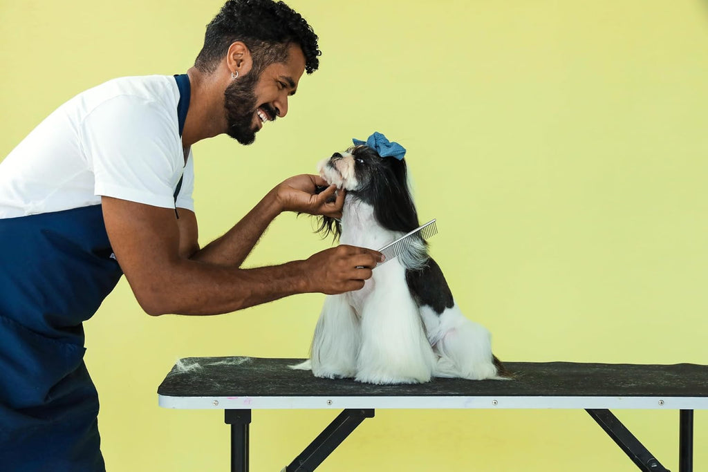 Andis professional pet dematting tool for dogs and cats highlighting premium steel design