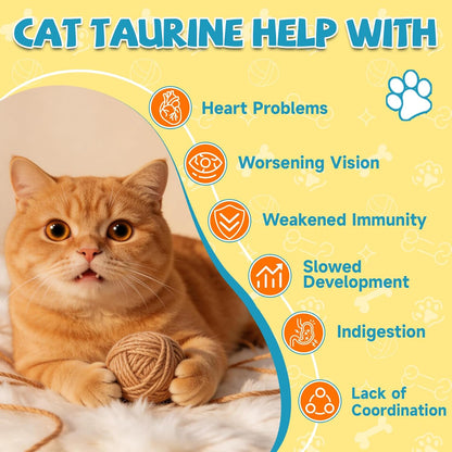 Nutritional ingredients label highlighting taurine and coenzyme Q10 for cats