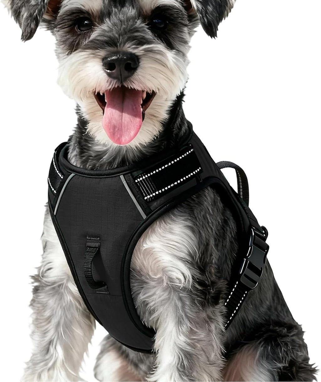 Zero Zoo no pull dog harness front view showing the metal leash attachment point