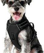 Zero Zoo no pull dog harness front view showing the metal leash attachment point
