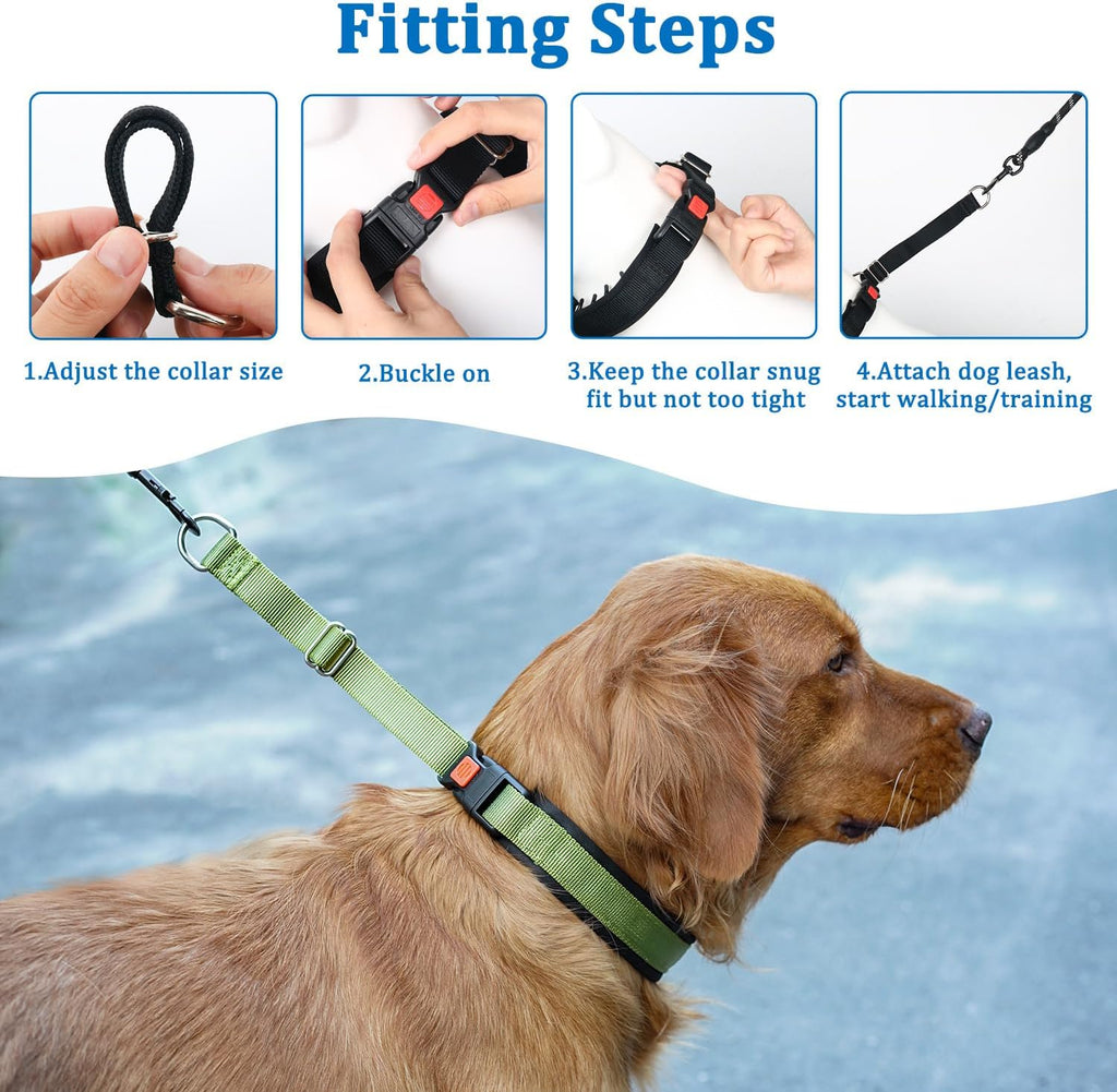 Mayerzon patented martingale collar on a medium sized dog side profile