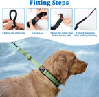 Mayerzon patented martingale collar on a medium sized dog side profile