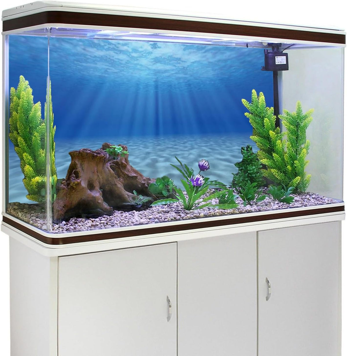 Detailed high definition coral reef fish tank backdrop texture