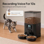 Voluas double cat feeder highlighting the secure lid and internal desiccant compartment